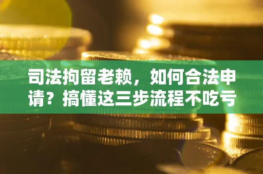 北京司法拘留老赖，如何合法申请？搞懂这三步流程不吃亏！