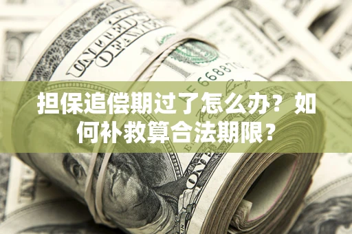 北京担保追偿期过了怎么办？如何补救算合法期限？